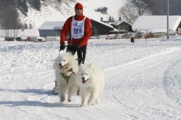 Lenk 2012 SM
